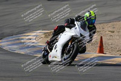 media/Mar-13-2022-SoCal Trackdays (Sun) [[112cf61d7e]]/Turns 9 and 8 (1020am)/